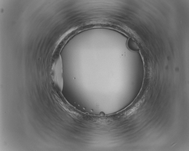 X0000069830830200606021334