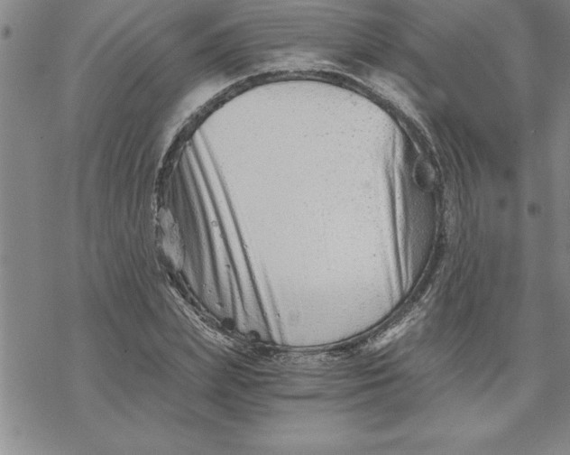 X0000069830831200606021334