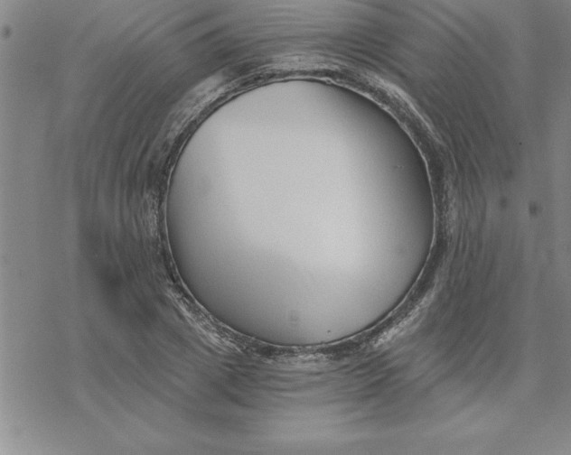 X0000069830833200606021334