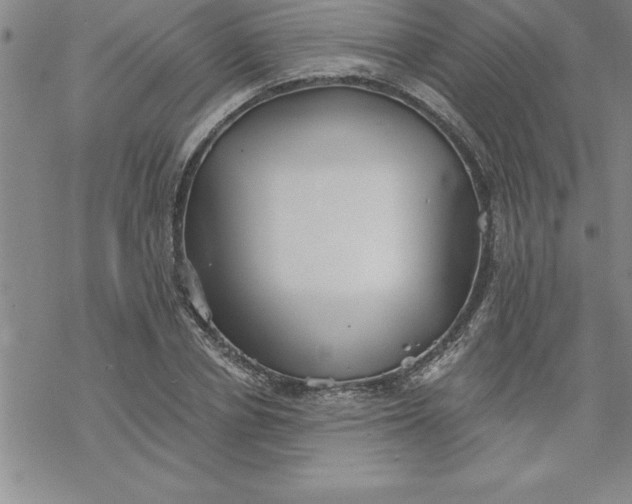 X0000069830834200606021334