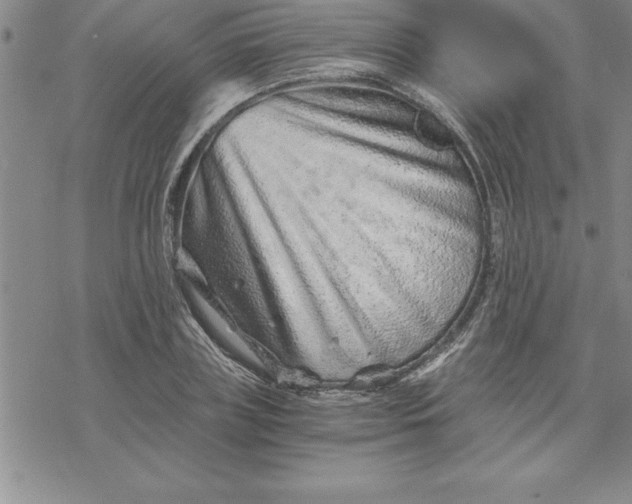 X0000069830835200606021334