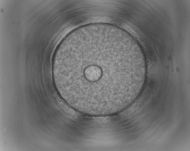 X0000069830836200606021334