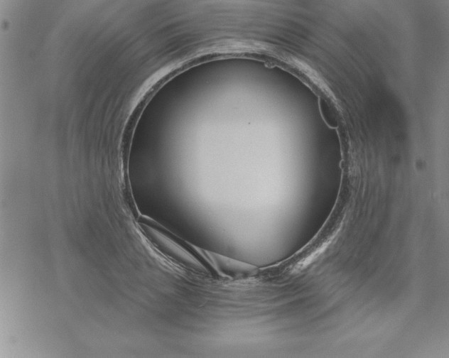 X0000069830837200606021334