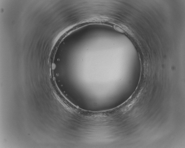 X0000069830838200606021334