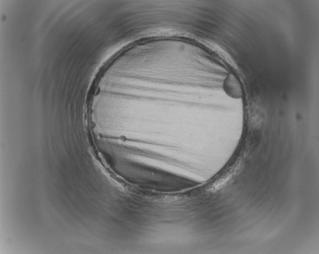 X0000069830839200606021334