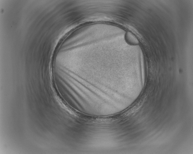 X0000069830840200606021334