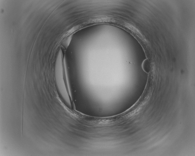 X0000069830841200606021334