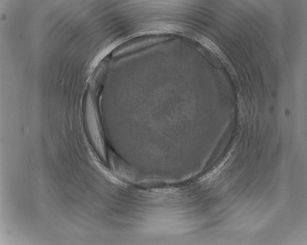 X0000069830842200606021334