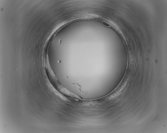 X0000069830843200606021334