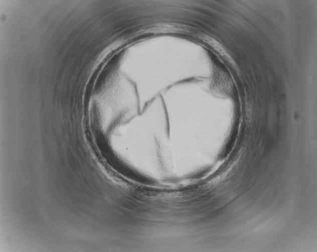 X0000069830845200606021334