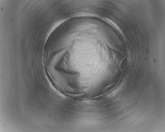 X0000069830847200606021334