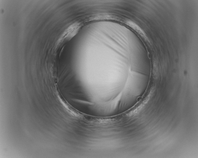 X0000069830849200606021334