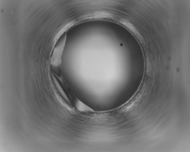 X0000069830850200606021334