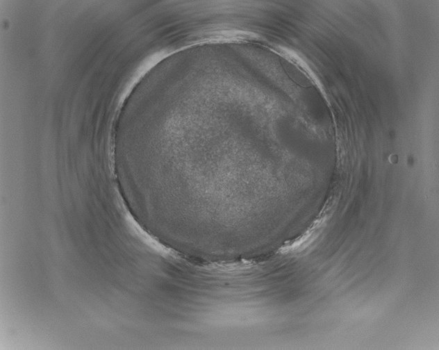 X0000069830851200606021334