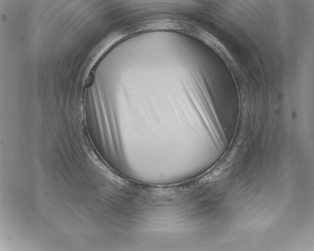 X0000069830852200606021334