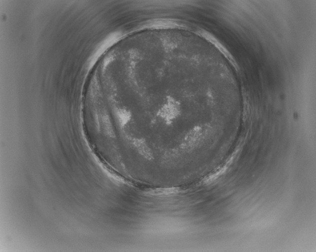 X0000069830853200606021334