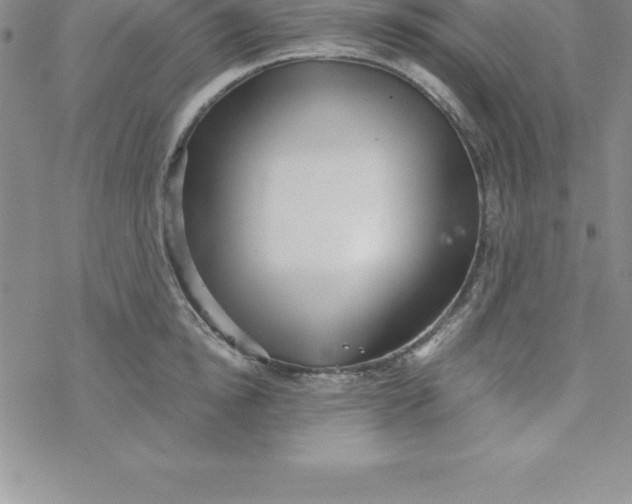 X0000069830854200606021335