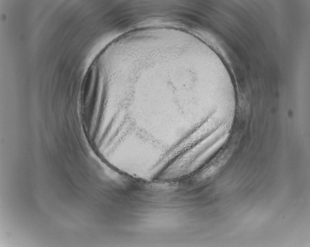 X0000069830855200606021335