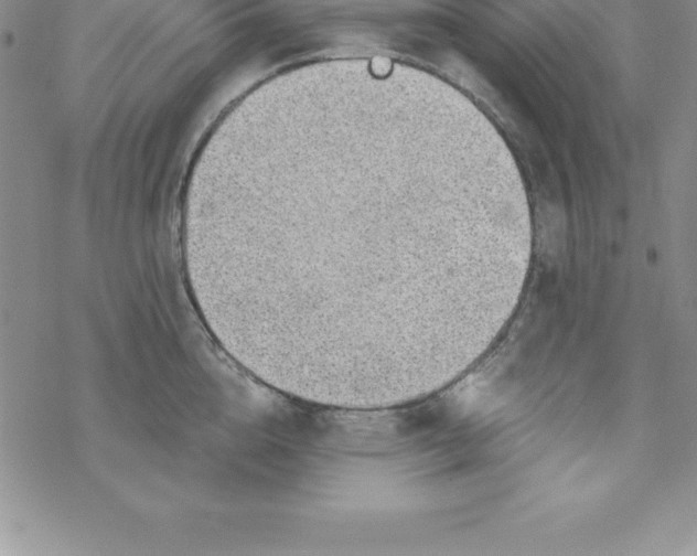 X0000069830856200606021335