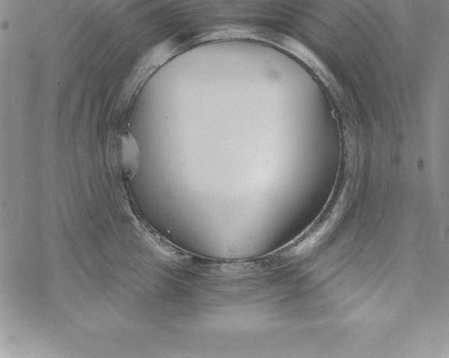 X0000069830857200606021335