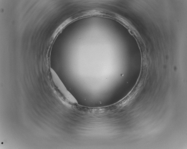 X0000069830858200606021335