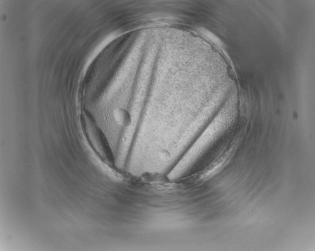 X0000069830859200606021335