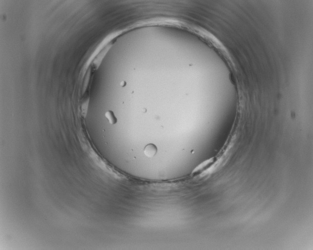 X0000069830860200606021335