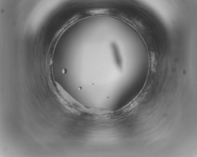 X0000069830861200606021335