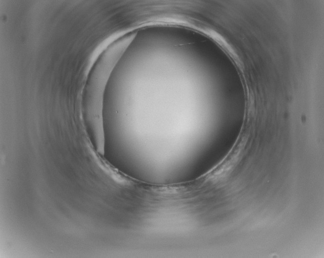 X0000069830862200606021335