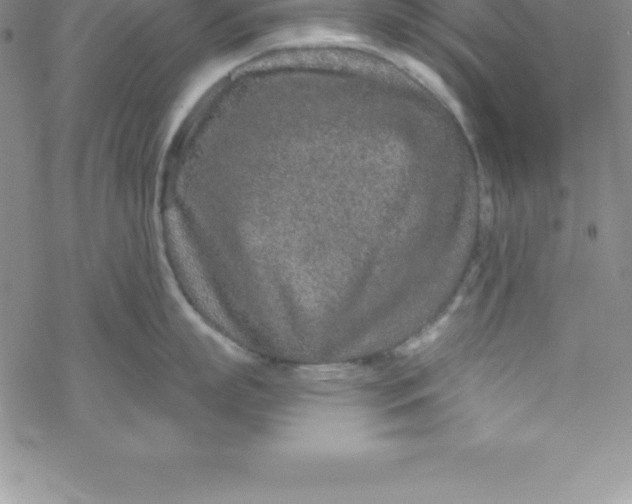 X0000069830863200606021335