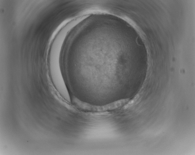 X0000069830864200606021335