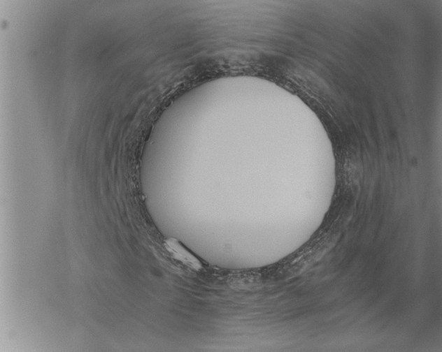 X0000069830865200606021334