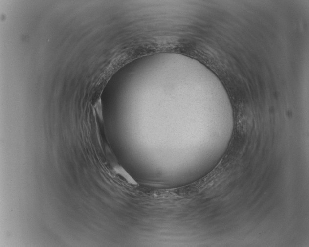 X0000069830866200606021334