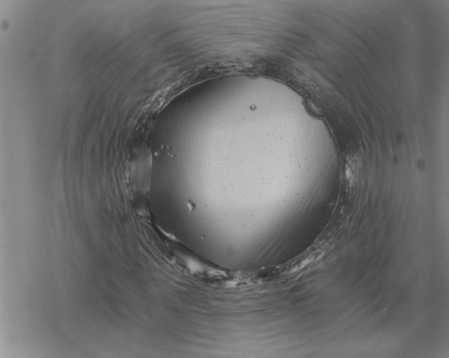 X0000069830867200606021334