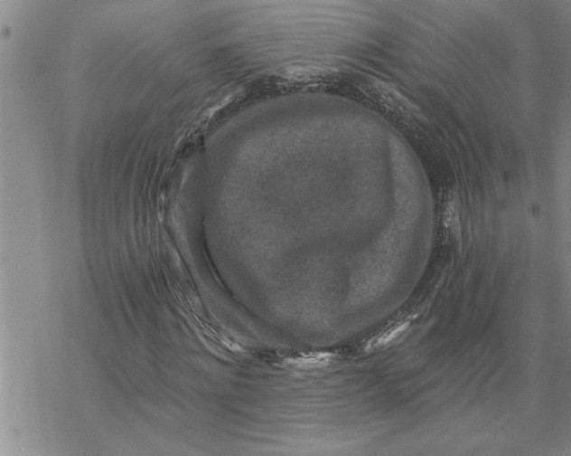 X0000069830868200606021334