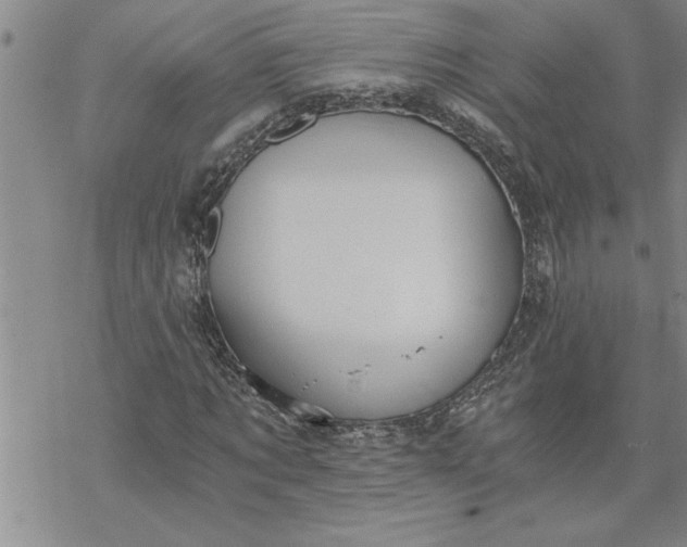 X0000069830869200606021334