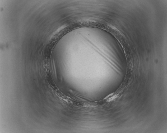 X0000069830870200606021334