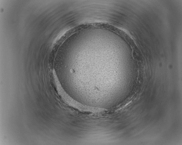 X0000069830871200606021334