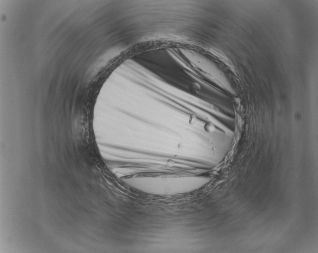 X0000069830872200606021334