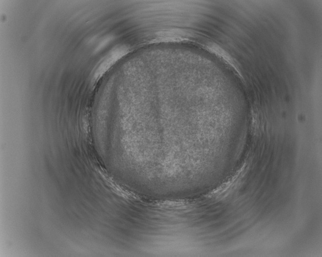 X0000069830874200606021334