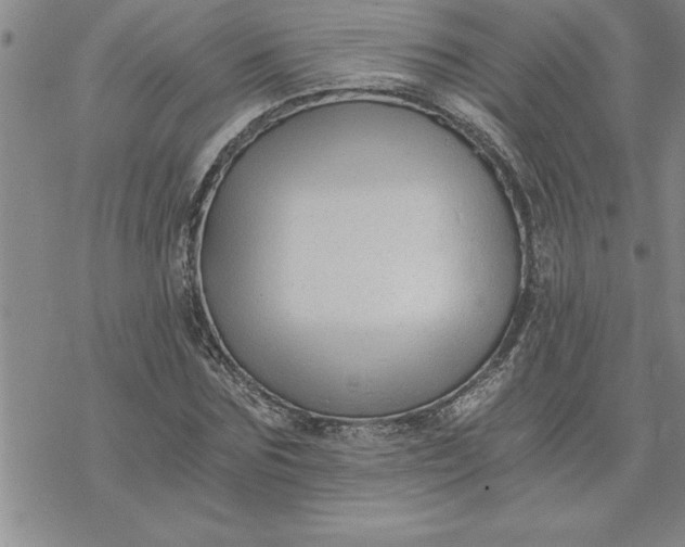 X0000069830875200606021334