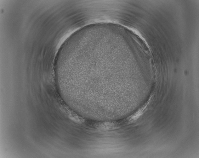 X0000069830879200606021334