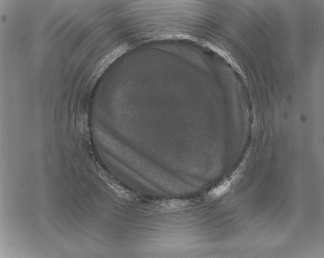 X0000069830881200606021334