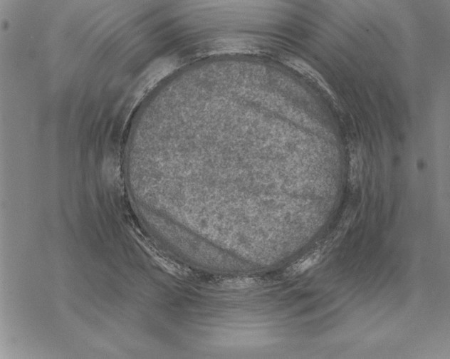 X0000069830882200606021334