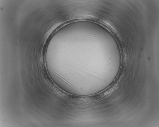 X0000069830883200606021334