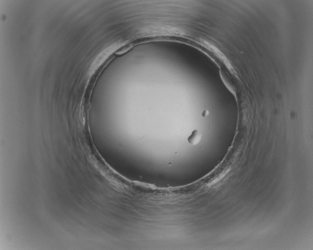 X0000069830885200606021334