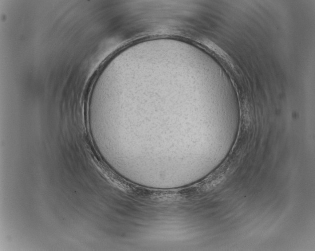 X0000069830886200606021334