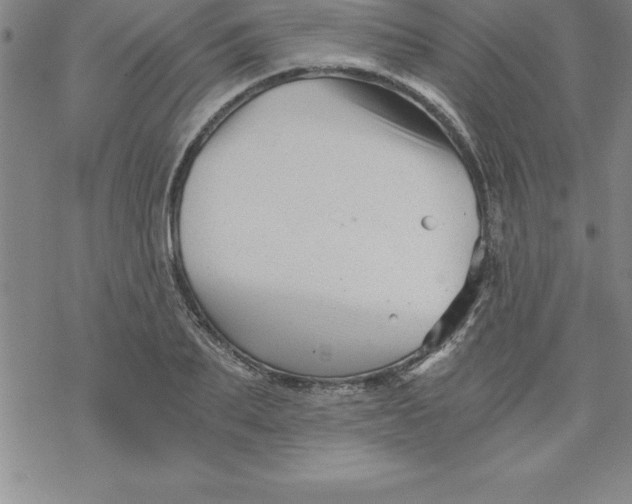 X0000069830887200606021334