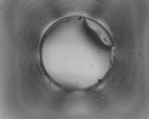 X0000069830888200606021334