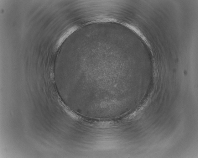 X0000069830889200606021334